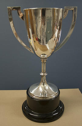 Overall Athletic Sports Cup (formerly Inter House Athletic Challenge Cup)