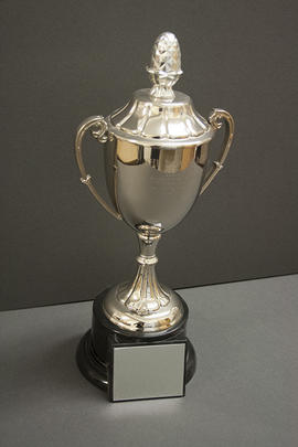 Senior Piano Competition Trophy