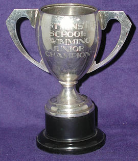 Swimming Junior Champion Cup