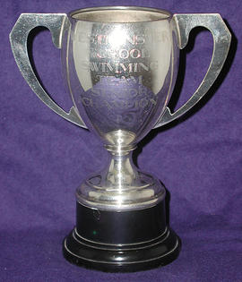 Swimming Team Senior Champion Cup